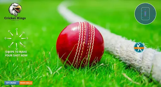 板球之王板球游戏_体育竞技_第1张_99下载站 板球之王板球游戏_https://www.99ziyuan.net_体育竞技_第1张