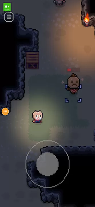 回家的猫游戏_https://www.99ziyuan.net_动作冒险_第3张