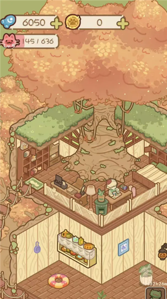 猫屋猫屎香