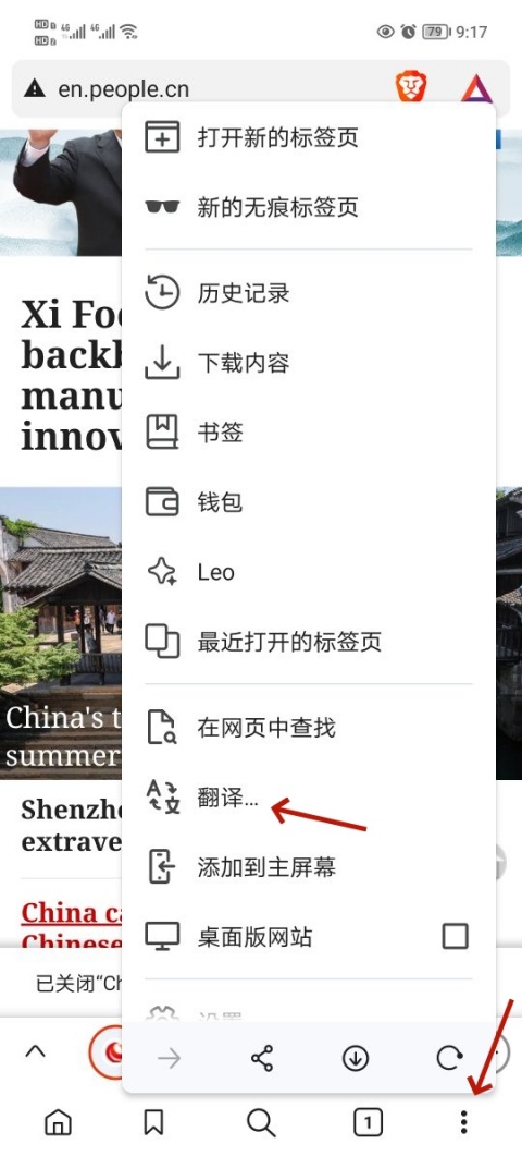 Brave浏览器软件最新版_https://www.99ziyuan.net_生活实用_第2张