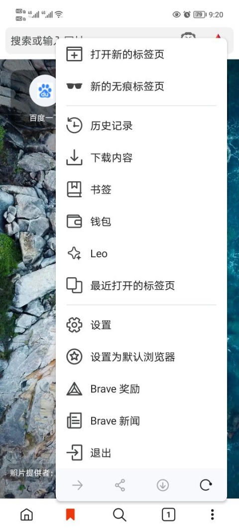 Brave浏览器软件最新版_https://www.99ziyuan.net_生活实用_第3张
