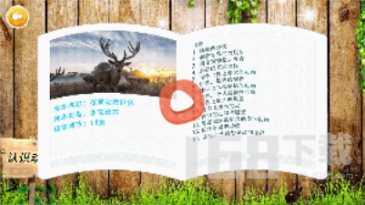 认识动物_https://www.99ziyuan.net_学习办公_第2张