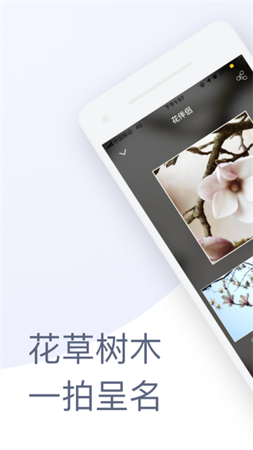 花伴侣app官方版_生活实用_第1张_99下载站 花伴侣app官方版_https://www.99ziyuan.net_生活实用_第1张