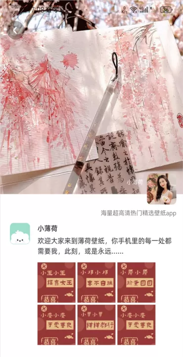 薄荷壁纸app_系统工具_第4张_99下载站 薄荷壁纸app_https://www.99ziyuan.net_系统工具_第4张
