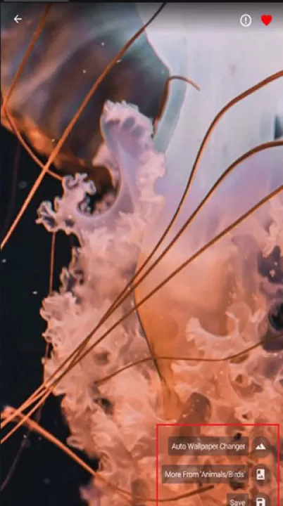 4k wallpapersapp_https://www.99ziyuan.net_手机美化_第3张