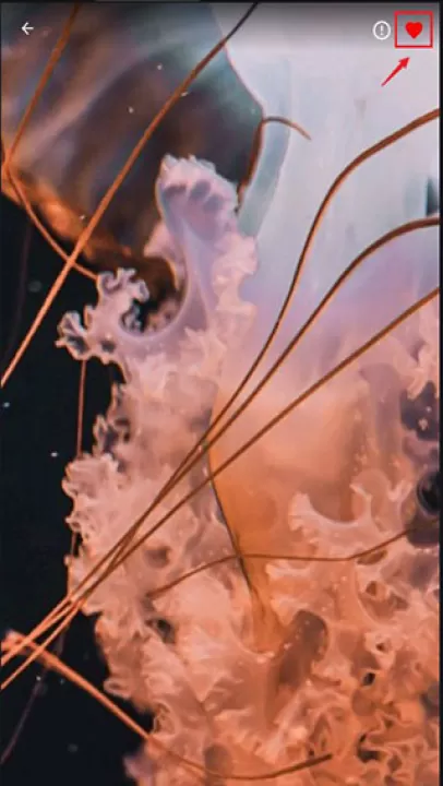 4k wallpapersapp_https://www.99ziyuan.net_手机美化_第2张