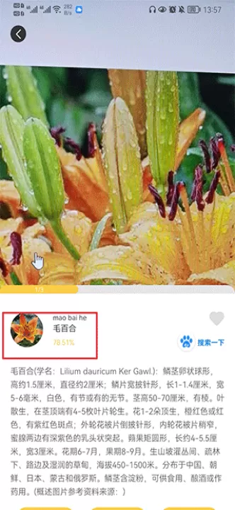智能拍照识物app_https://www.99ziyuan.net_生活实用_第3张