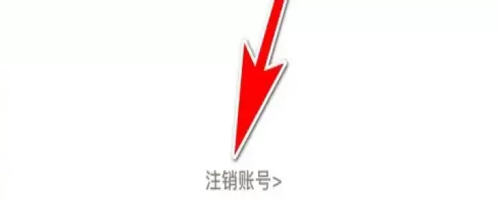 熊猫优选app_https://www.99ziyuan.net_出行购物_第3张