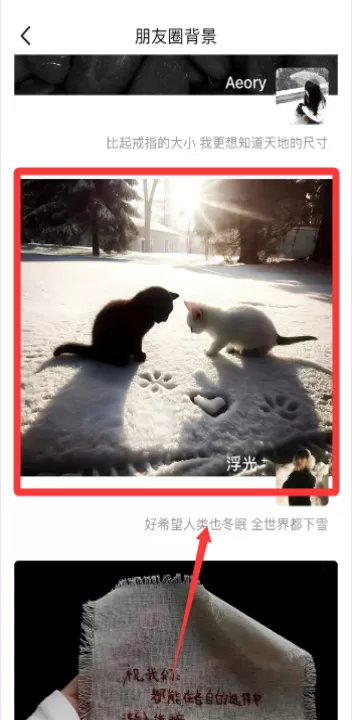 口袋壁纸官方版_生活实用_第2张_99下载站 口袋壁纸官方版_https://www.99ziyuan.net_生活实用_第2张