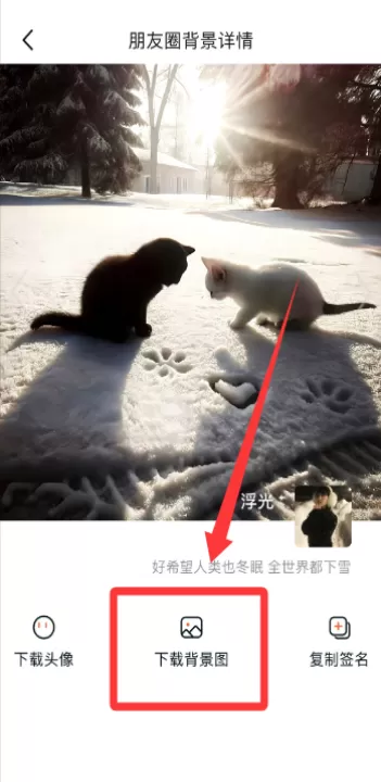 口袋壁纸官方版_生活实用_第3张_99下载站 口袋壁纸官方版_https://www.99ziyuan.net_生活实用_第3张