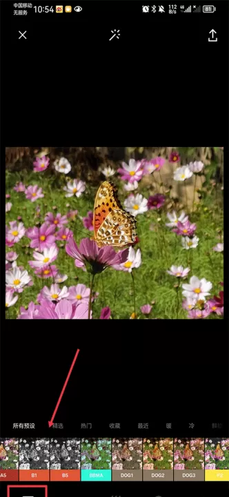 VSCO下载安卓版_摄影图像_第3张_99下载站 VSCO下载安卓版_https://www.99ziyuan.net_摄影图像_第3张