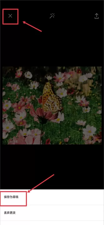 VSCO下载安卓版_摄影图像_第4张_99下载站 VSCO下载安卓版_https://www.99ziyuan.net_摄影图像_第4张