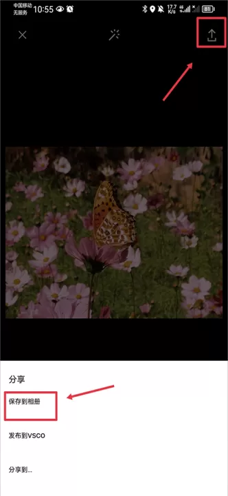VSCO下载安卓版_摄影图像_第7张_99下载站 VSCO下载安卓版_https://www.99ziyuan.net_摄影图像_第7张