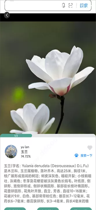 识花君app_生活实用_第5张_99下载站 识花君app_https://www.99ziyuan.net_生活实用_第5张