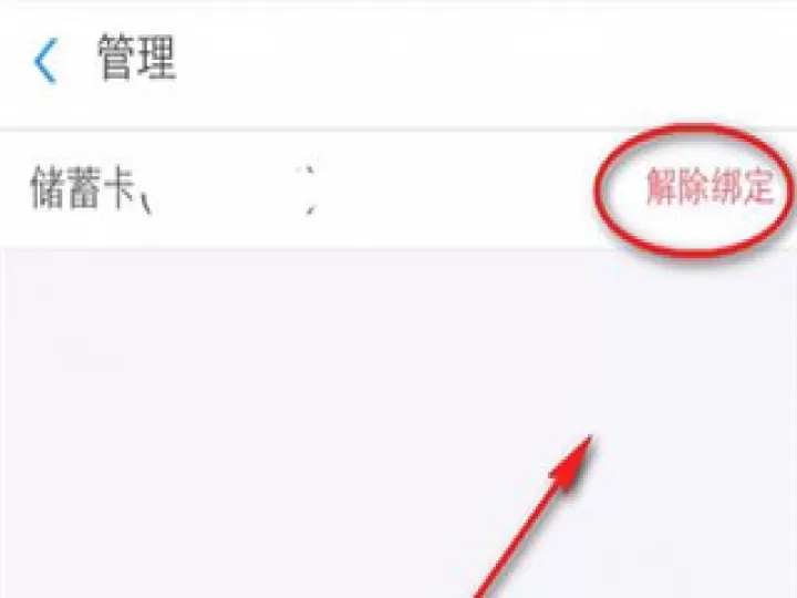 支付宝_https://www.99ziyuan.net_生活实用_第5张
