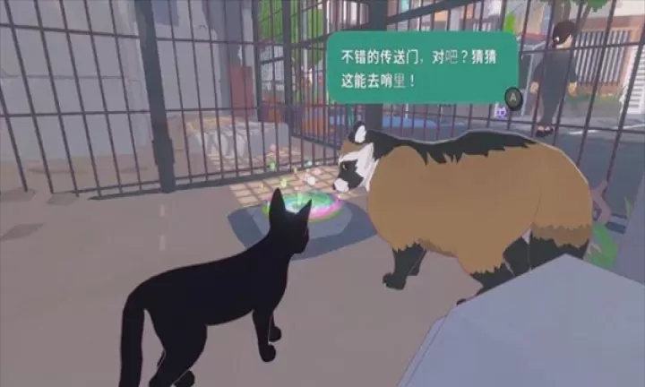 小猫咪大城市下载_https://www.99ziyuan.net_休闲益智_第9张