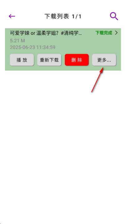 网页视频下载大师_https://www.99ziyuan.net_系统工具_第13张