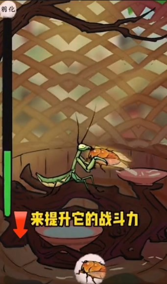 极品螳螂_模拟经营_第4张_99下载站 极品螳螂_https://www.99ziyuan.net_模拟经营_第4张