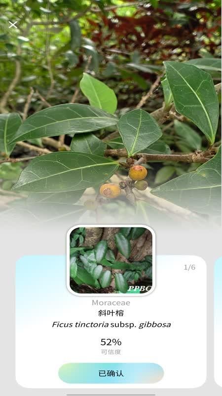 花伴侣app官方版_生活实用_第2张_99下载站 花伴侣app官方版_https://www.99ziyuan.net_生活实用_第2张