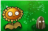 《植物大战僵尸杂交版》中的坚果向日葵到底好不好用-坚果向日葵属性快速了解_游戏攻略_第1张_99下载站 《植物大战僵尸杂交版》中的坚果向日葵到底好不好用-坚果向日葵属性快速了解_https://www.99ziyuan.net_游戏攻略_第1张