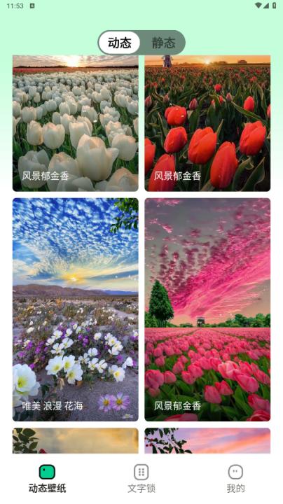 清风壁纸下载安装最新版本_https://www.99ziyuan.net_手机美化_第1张
