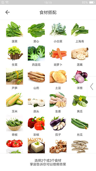 掌厨免费下载_生活实用_第1张_99下载站 掌厨免费下载_https://www.99ziyuan.net_生活实用_第1张