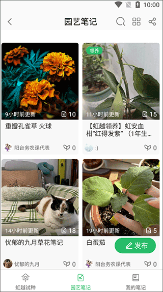 虹越花卉网上商城_出行购物_第2张_99下载站 虹越花卉网上商城_https://www.99ziyuan.net_出行购物_第2张