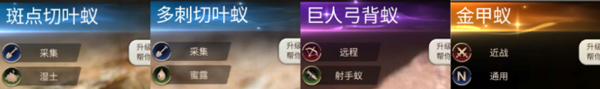 小小蚁国送648元金甲蚁下载_模拟经营_第8张_99下载站 小小蚁国送648元金甲蚁下载_https://www.99ziyuan.net_模拟经营_第8张