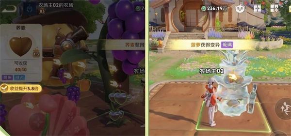 《王者荣耀》王者农场详细玩法攻略_游戏攻略_第5张_99下载站 《王者荣耀》王者农场详细玩法攻略_https://www.99ziyuan.net_游戏攻略_第5张
