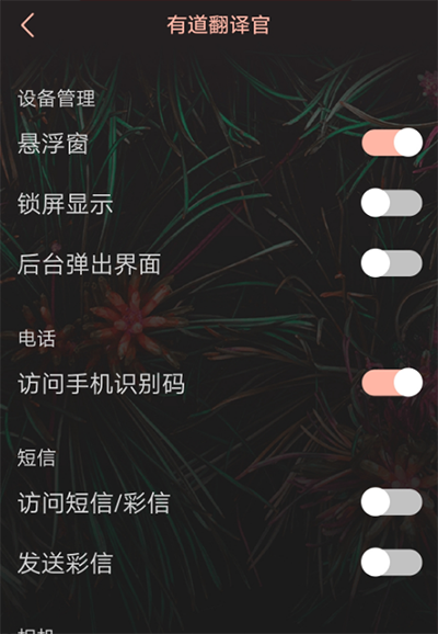 有道翻译官在线翻译_学习办公_第5张_99下载站 有道翻译官在线翻译_https://www.99ziyuan.net_学习办公_第5张