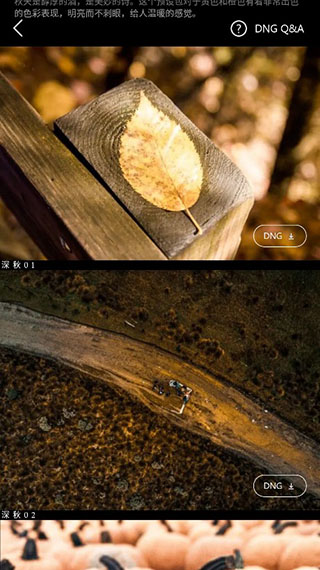 Koloro滤镜君app_摄影图像_第3张_99下载站 Koloro滤镜君app_https://www.99ziyuan.net_摄影图像_第3张