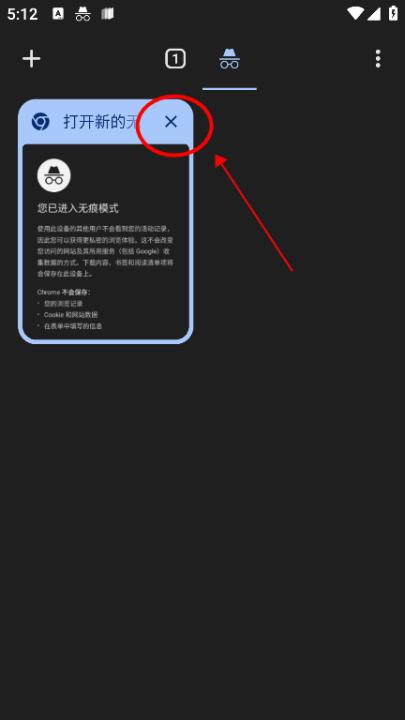 谷歌浏览器下载_系统工具_第4张_99下载站 谷歌浏览器下载_https://www.99ziyuan.net_系统工具_第4张