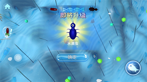 物种进化模拟_https://www.99ziyuan.net_休闲益智_第5张